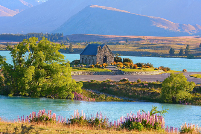 Dịch vụ Visa New Zealand trọn gói - Nhanh chóng, chuyên nghiệp, tối ưu tỷ lệ đậu